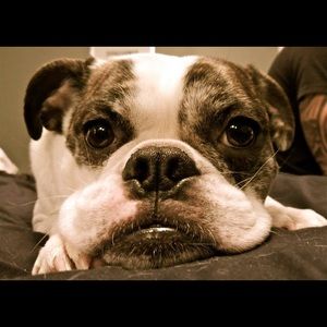 Meet your Posher, Karly